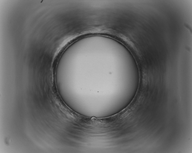 X0000099401270200805221847