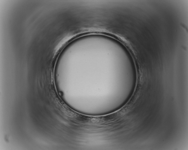 X0000099401271200805221847