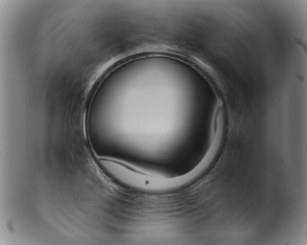 X0000099401272200805221847