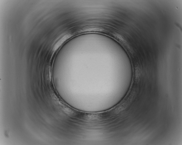 X0000099401274200805221847