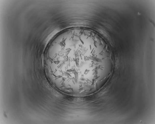 X0000099401275200805221847