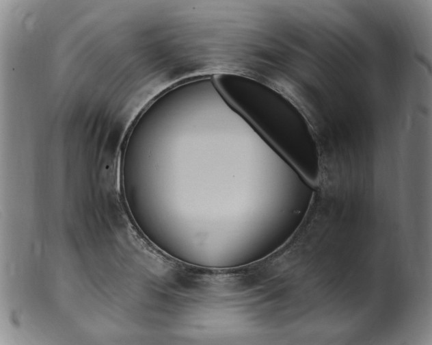 X0000099401276200805221847