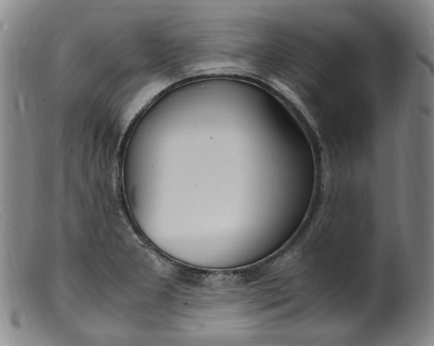 X0000099401277200805221847