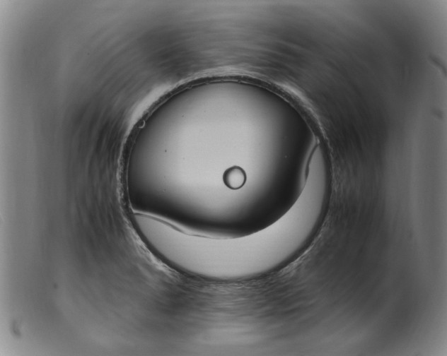 X0000099401278200805221847