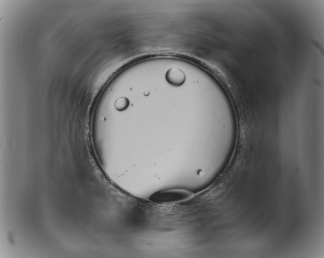 X0000099401279200805221847