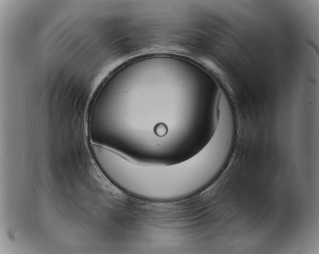 X0000099401280200805221847