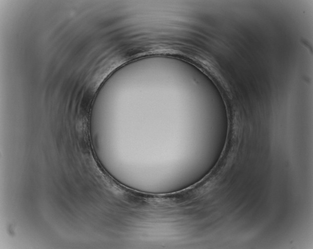 X0000099401281200805221847