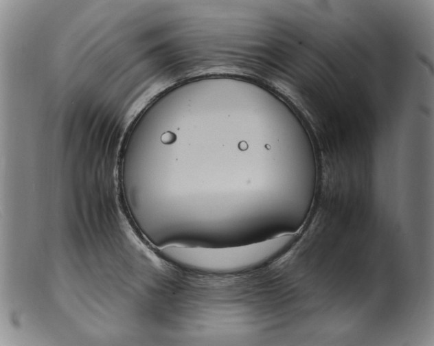 X0000099401282200805221847