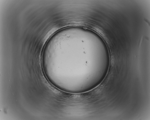 X0000099401283200805221847