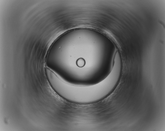 X0000099401284200805221847