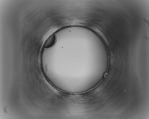 X0000099401285200805221847