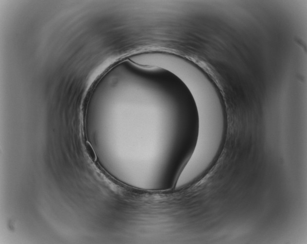 X0000099401286200805221847