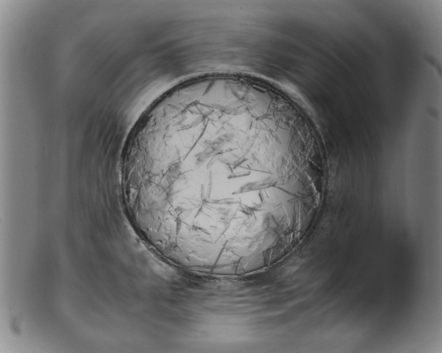 X0000099401287200805221847