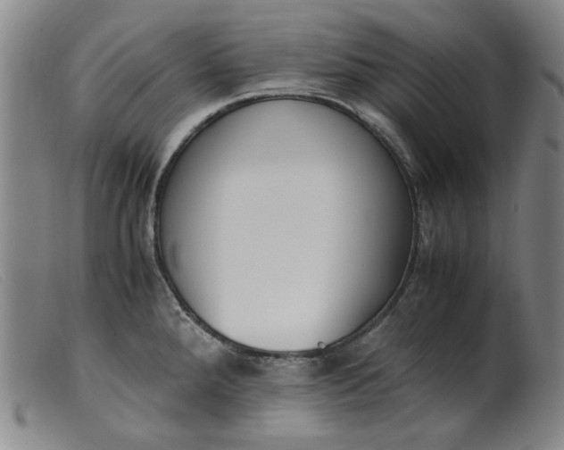 X0000099401288200805221847