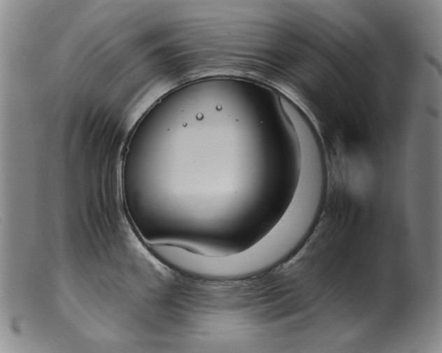 X0000099401290200805221847