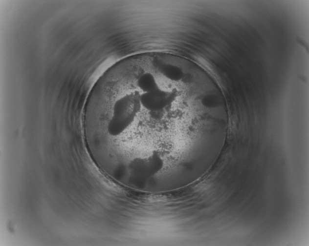 X0000099401291200805221847