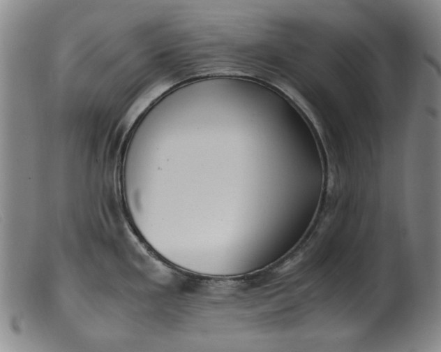 X0000099401293200805221847