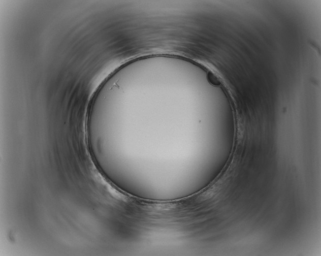 X0000099401294200805221847