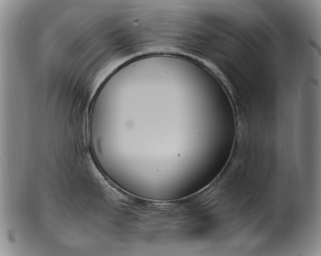 X0000099401295200805221847