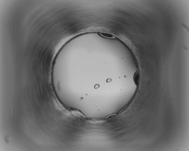 X0000099401296200805221847