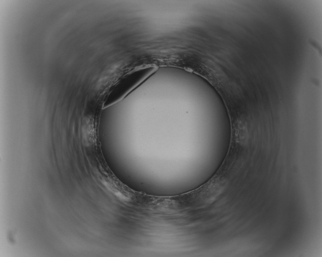 X0000099401298200805221846