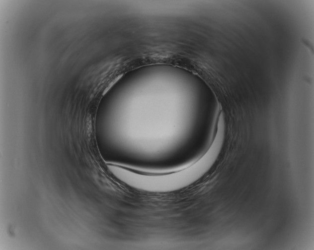 X0000099401299200805221846