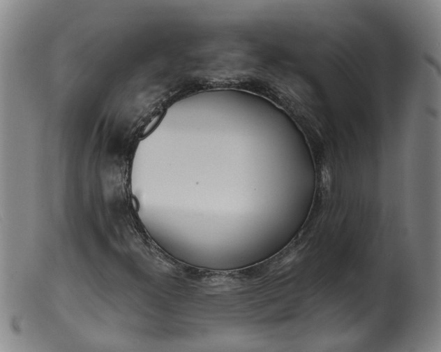 X0000099401300200805221846