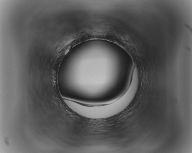 X0000099401301200805221846