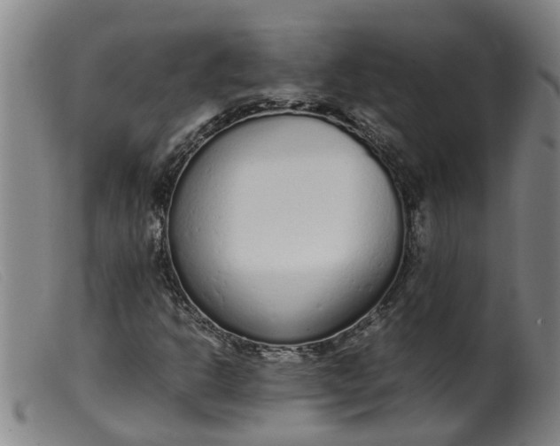 X0000099401302200805221846