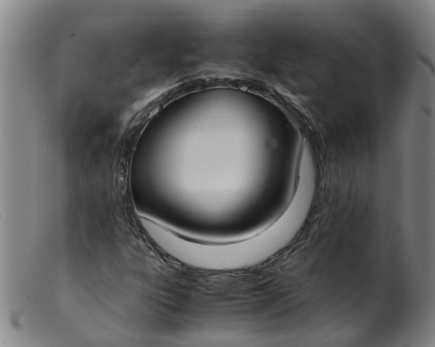 X0000099401303200805221846