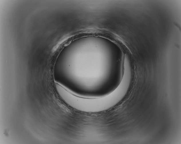 X0000099401304200805221846