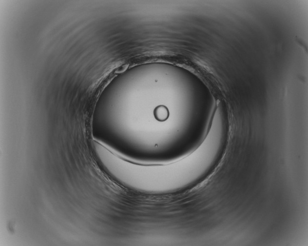 X0000099401305200805221846