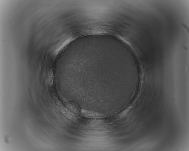 X0000099401306200805221846