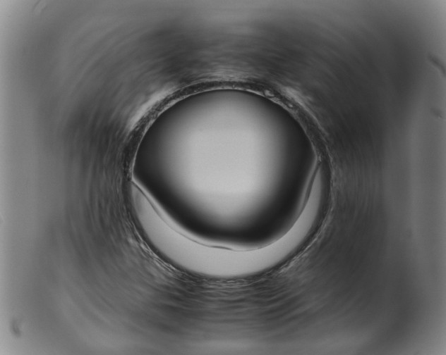 X0000099401307200805221846