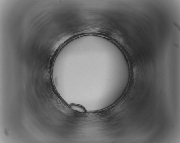 X0000099401308200805221846