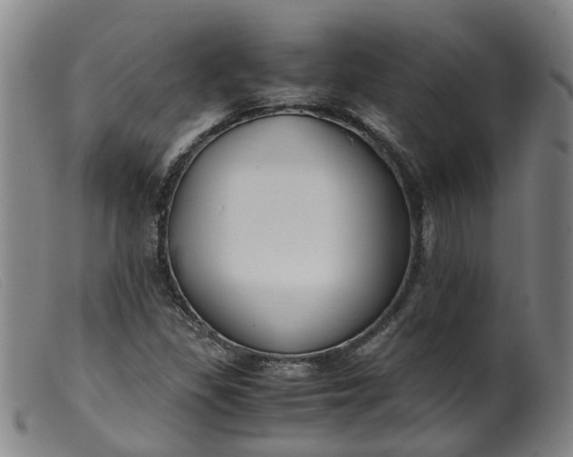 X0000099401309200805221846