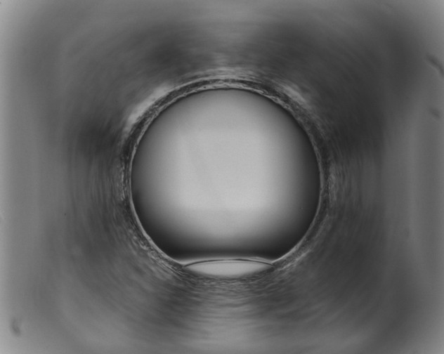 X0000099401310200805221846