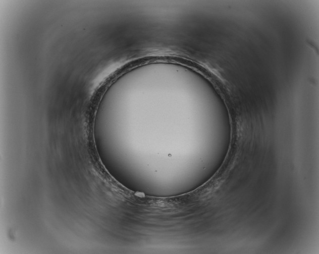 X0000099401311200805221846