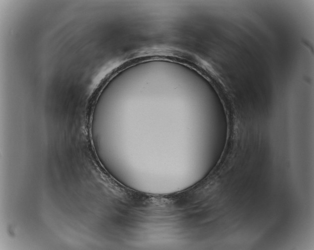 X0000099401312200805221846