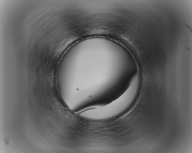 X0000099401313200805221846