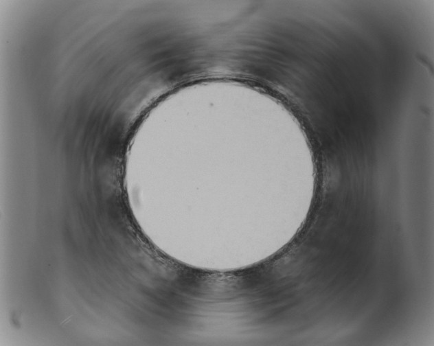 X0000099401314200805221846