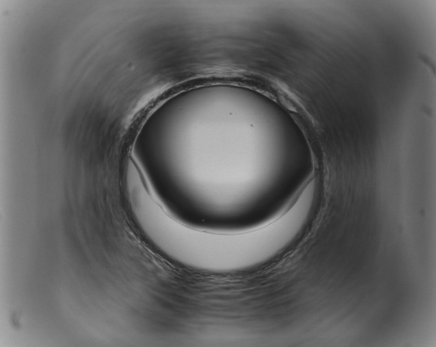 X0000099401315200805221846