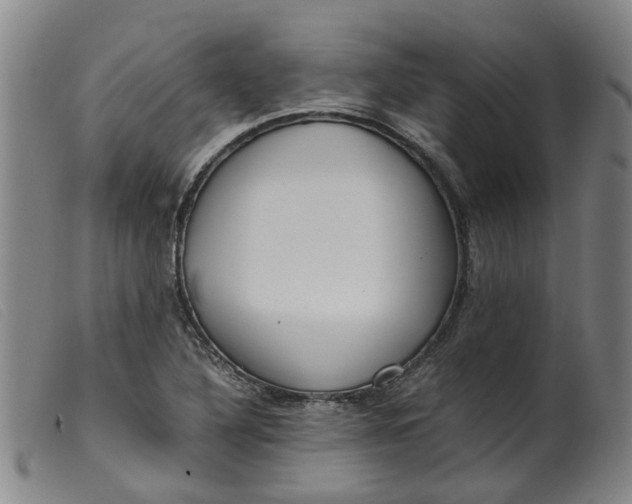 X0000099401316200805221846