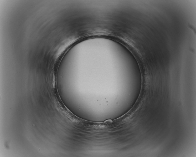 X0000099401317200805221846