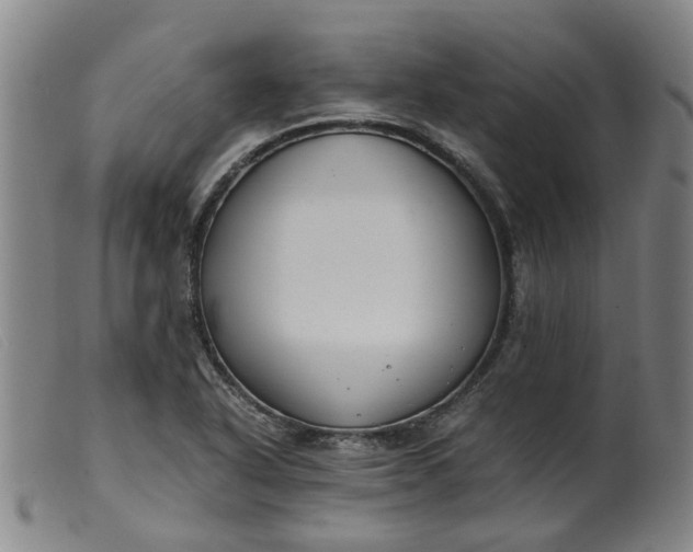 X0000099401318200805221846