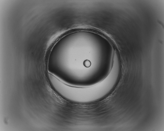 X0000099401319200805221846