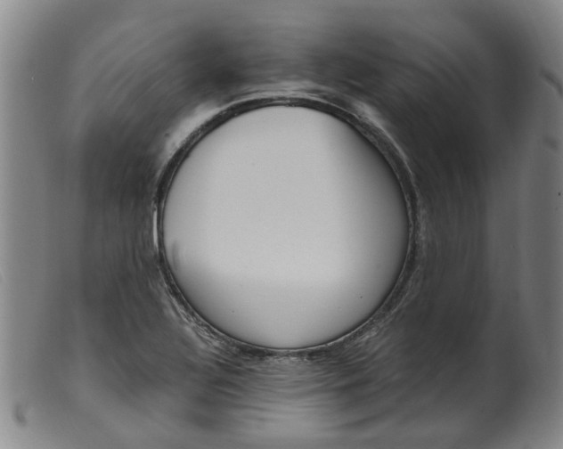 X0000099401320200805221846