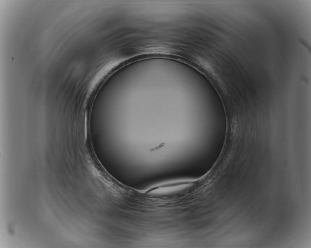 X0000099401323200805221846