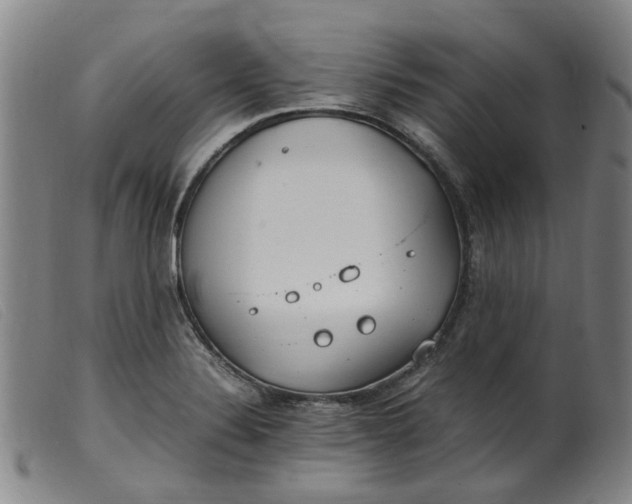 X0000099401324200805221846