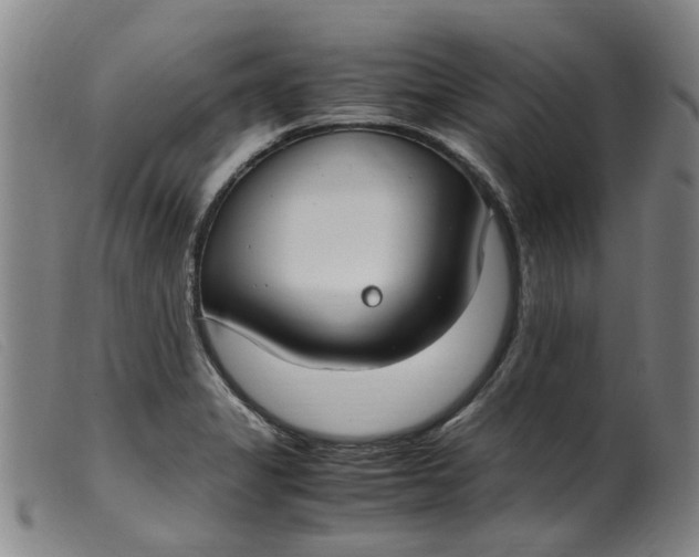 X0000099401325200805221846